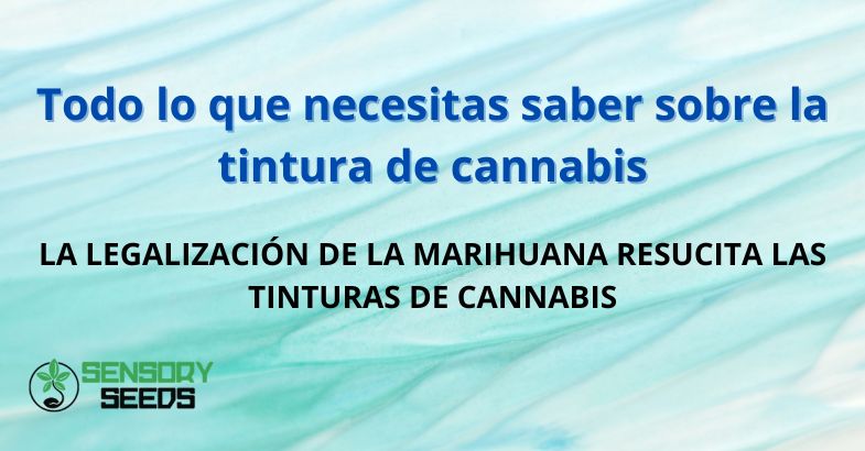 Todo lo que necesitas saber sobre la tintura de cannabis