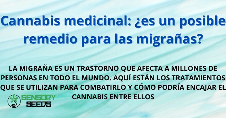 Cannabis medicinal: ¿es un posible remedio para las migrañas?