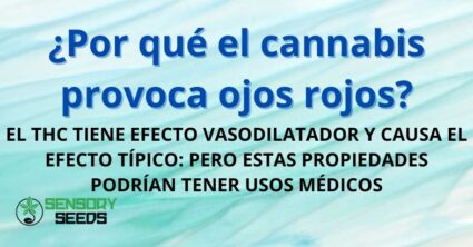 ¿Por qué el cannabis provoca ojos rojos?