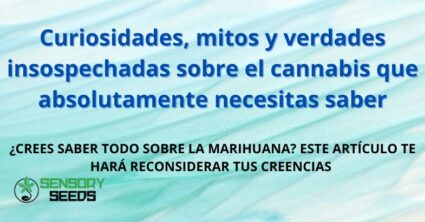 Curiosidades, mitos y verdades insospechadas sobre el cannabis que absolutamente necesitas saber