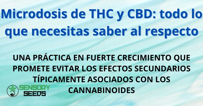 Microdosis de THC y CBD: todo lo que necesitas saber al respecto