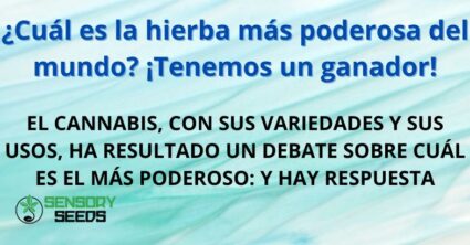 ¿Cuál es la hierba más poderosa del mundo? ¡Tenemos un ganador!