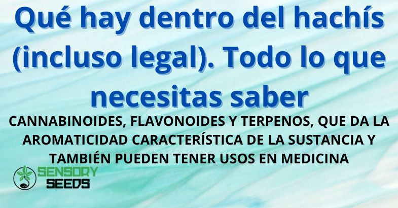 Qué hay dentro del hachís (incluso legal)