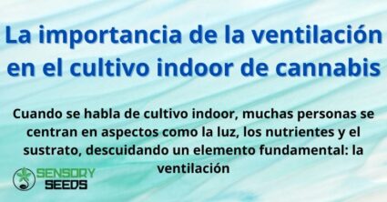 La importancia de la ventilación en el cultivo indoor de cannabis