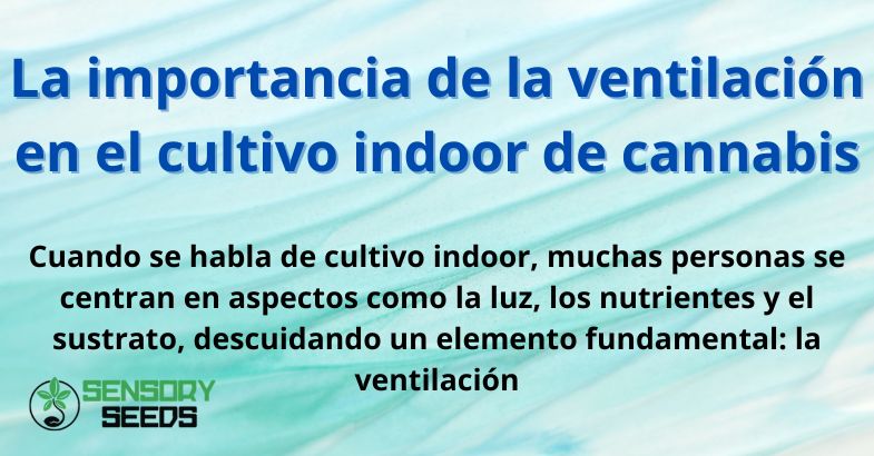 La importancia de la ventilación en el cultivo indoor de cannabis