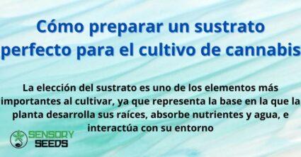 Cómo preparar un sustrato perfecto para el cultivo de cannabis
