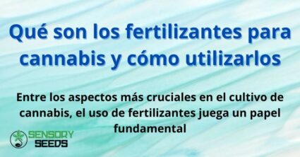 Qué son los fertilizantes para cannabis y cómo utilizarlos