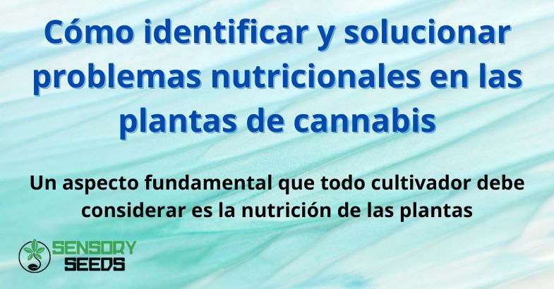 Cómo identificar y solucionar problemas nutricionales en las plantas de cannabis