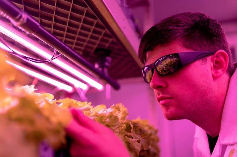 Beneficios y limitaciones del uso de la luz UV
