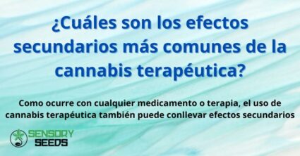 ¿Cuáles son los efectos secundarios más comunes de la cannabis terapéutica?