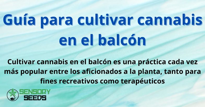 Guía para cultivar cannabis en el balcón