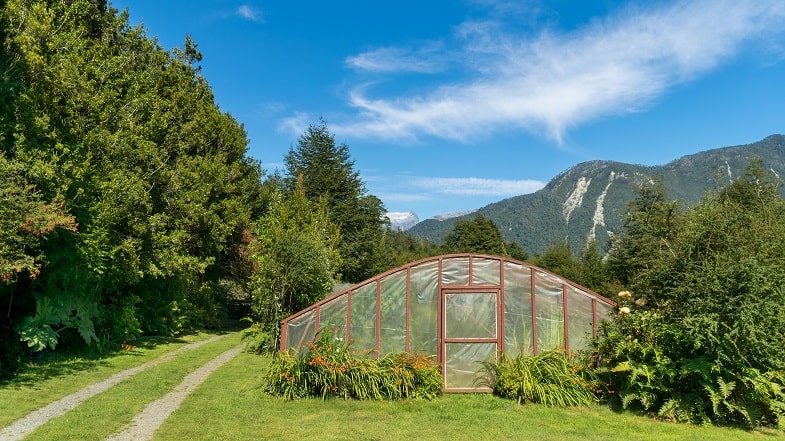 ¿A quién acudir para cultivar y construir un Invernadero?