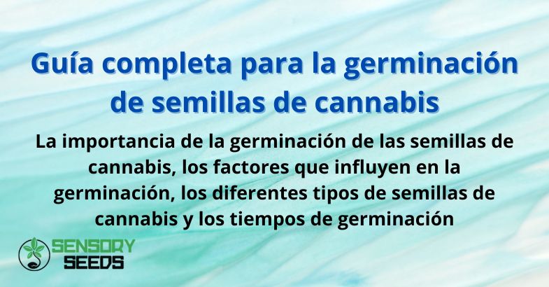 Guía completa para la germinación de semillas de cannabis