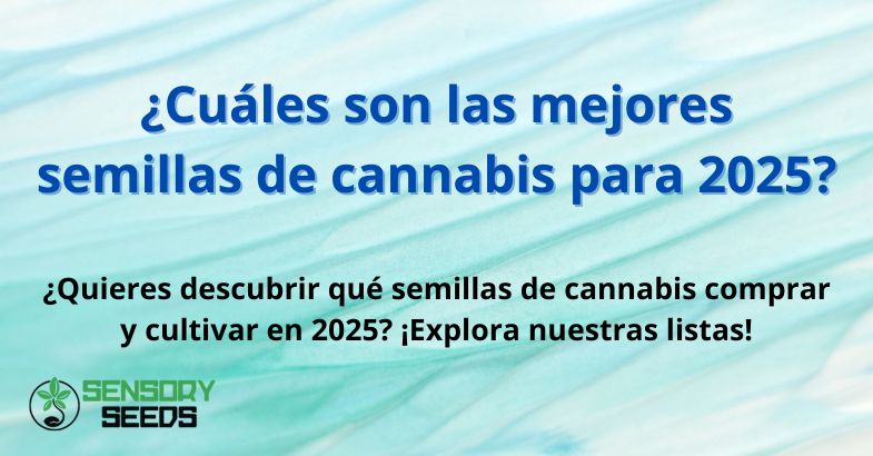 ¿Cuáles son las mejores semillas de cannabis para 2025?