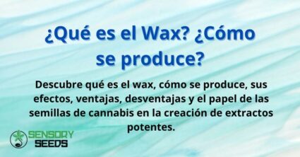 ¿Qué es el Wax? ¿Cómo se produce?