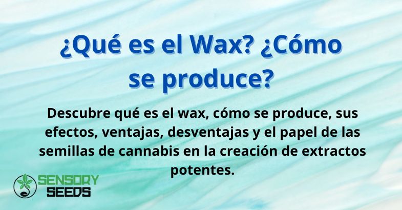 ¿Qué es el Wax? ¿Cómo se produce?