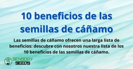 10 beneficios de las semillas de cáñamo