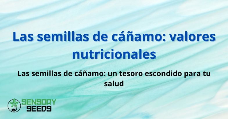 Las semillas de cáñamo: valores nutricionales