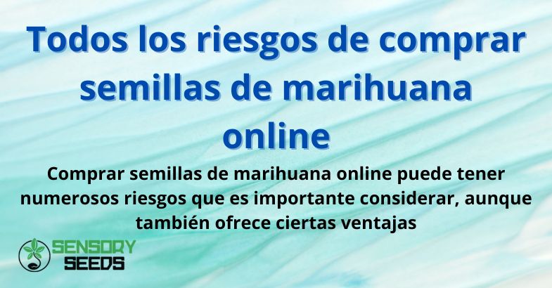 Todos los riesgos de comprar semillas de marihuana online