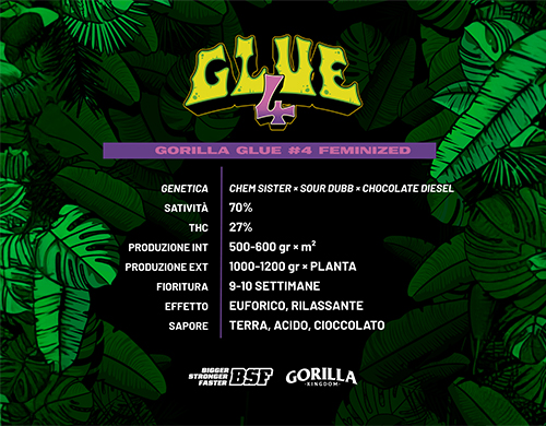 Descripción completa del producto Gorilla Glue Fem