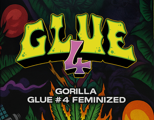 Logotipo oficial de Gorilla Glue Fem