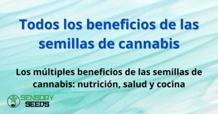 Todos los beneficios de las semillas de cannabis