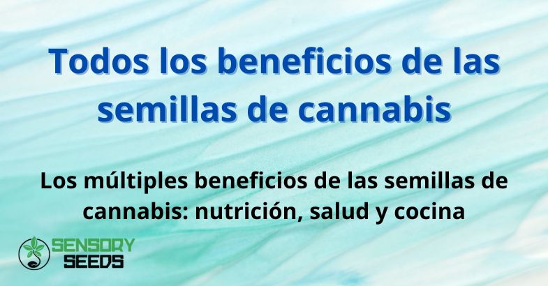 Todos los beneficios de las semillas de cannabis
