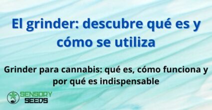 El grinder: descubre qué es y cómo se utiliza