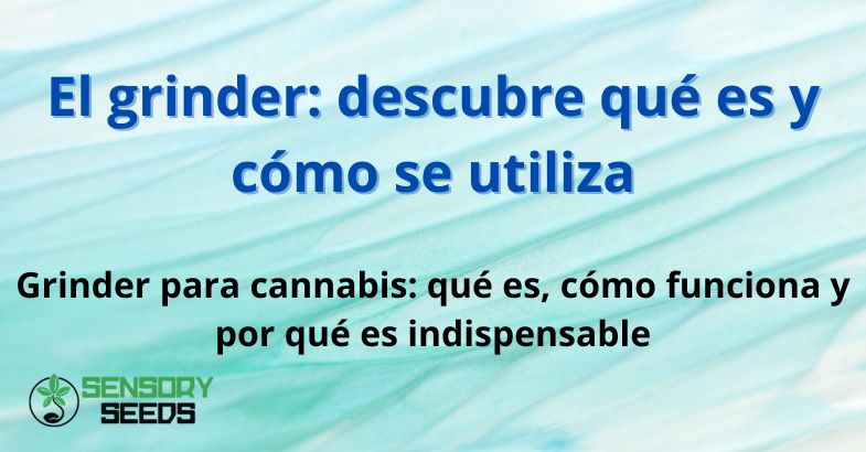 El grinder: descubre qué es y cómo se utiliza