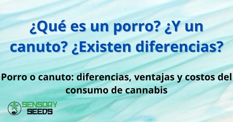 ¿Qué es un porro? ¿Y un canuto? ¿Existen diferencias?