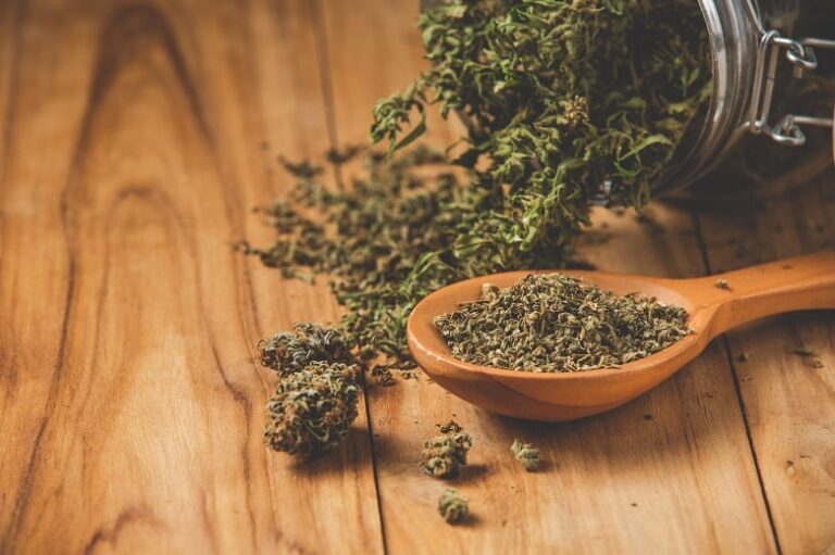 Los múltiples beneficios de las semillas de cannabis