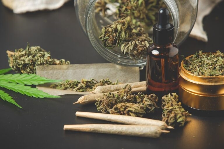 PORRO vs CANUTO: ¿cuáles son las diferencias?