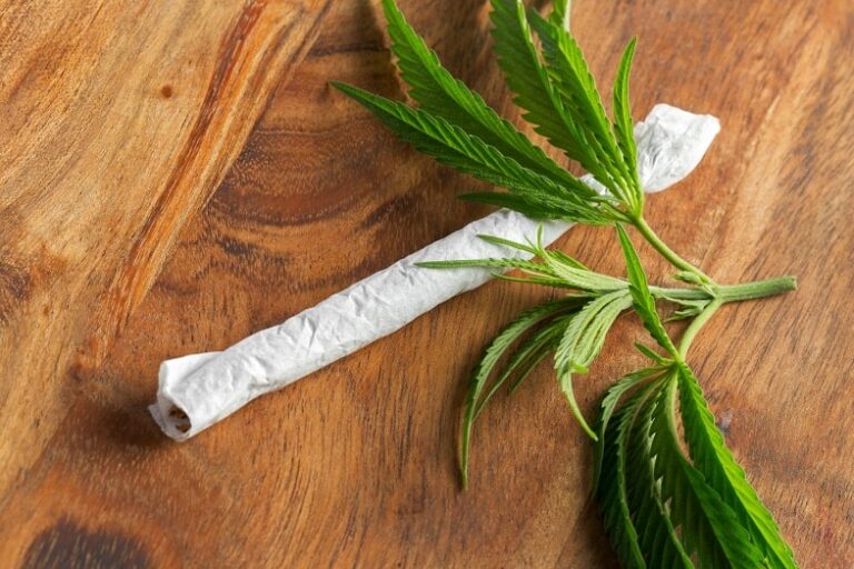 PRE ROLL: ¿pero qué son?