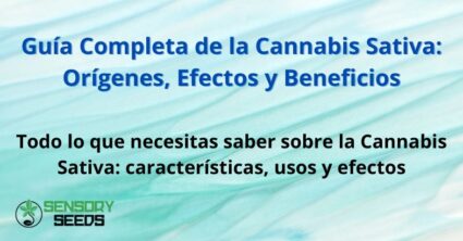 Guía Completa de la Cannabis Sativa