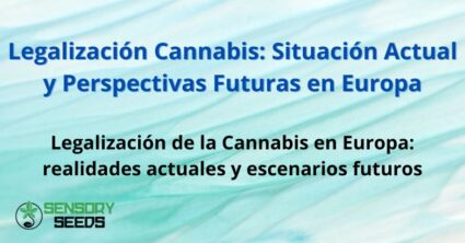 Legalización Cannabis: Situación Actual y Perspectivas Futuras en Europa