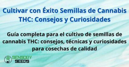 Cultivar con Éxito Semillas de Cannabis THC
