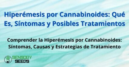 Hiperémesis por Cannabinoides: Qué Es