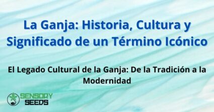 La Ganja: Historia, Cultura y Significado