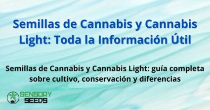Semillas de Cannabis y Cannabis Light: Toda la Información Útil