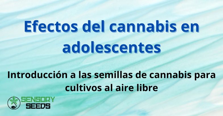 Efectos del cannabis en adolescentes