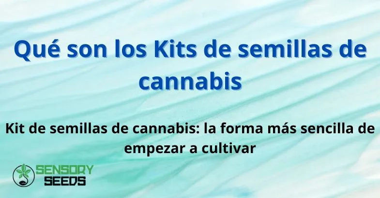 los-kits-de-semillas-de-cannabis Qué son los Kits de semillas de cannabis