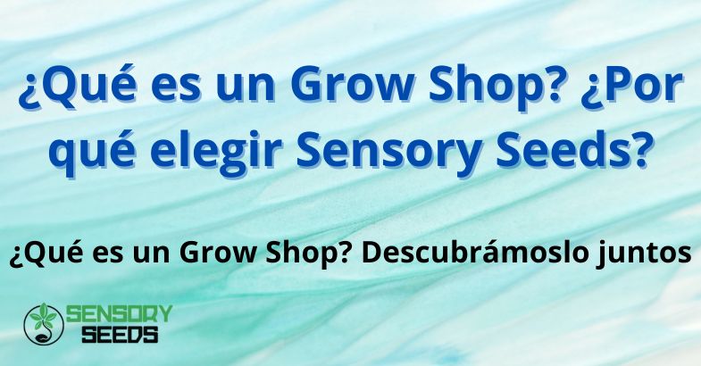¿Qué es un Grow Shop? ¿Por qué elegir Sensory Seeds?