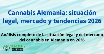 Cannabis Alemania: situación legal, mercado y tendencias 2026